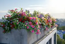 Balconi Fioriti: Come Arredare con Piante e Fiori