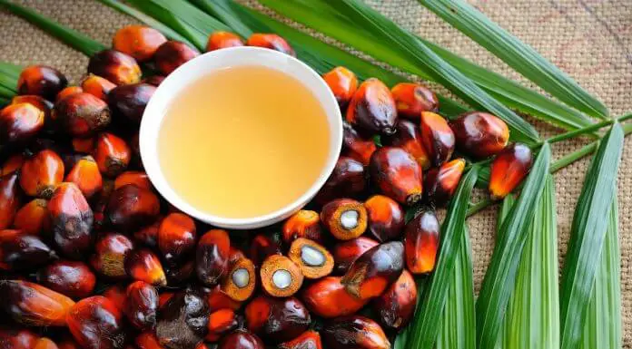 Olio di palma fa male? Olio di palma fa male