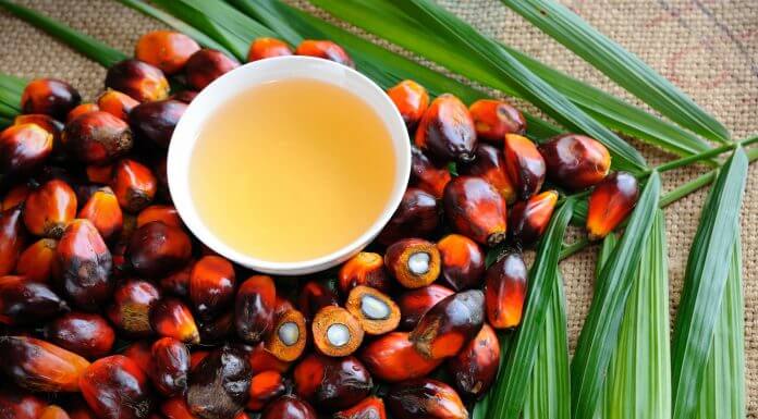 Olio di palma fa male