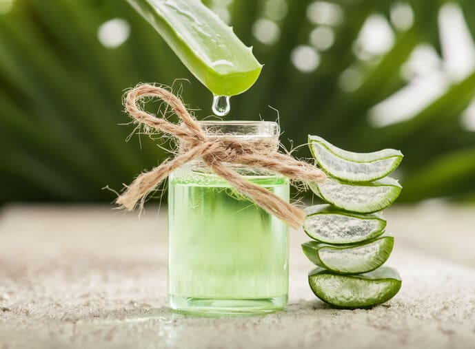 aloe vera per il pene